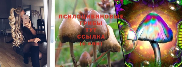 СК Белокуриха