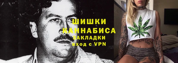 СК Белокуриха
