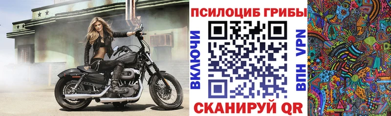 закладка  Губкинский  Псилоцибиновые грибы ЛСД 